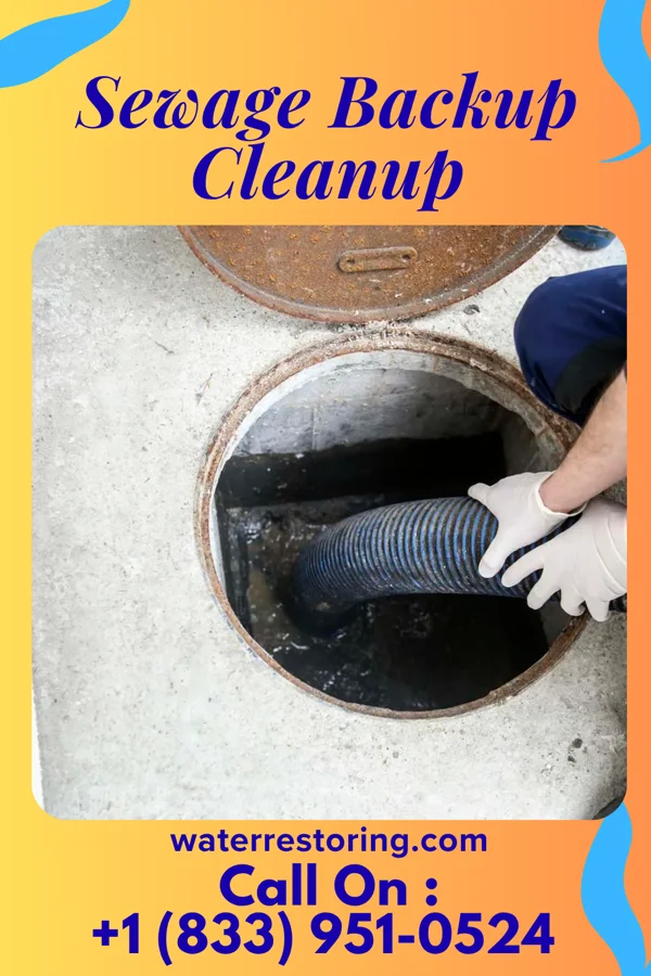 Sewage Backup Cleanup in Warrington, FL